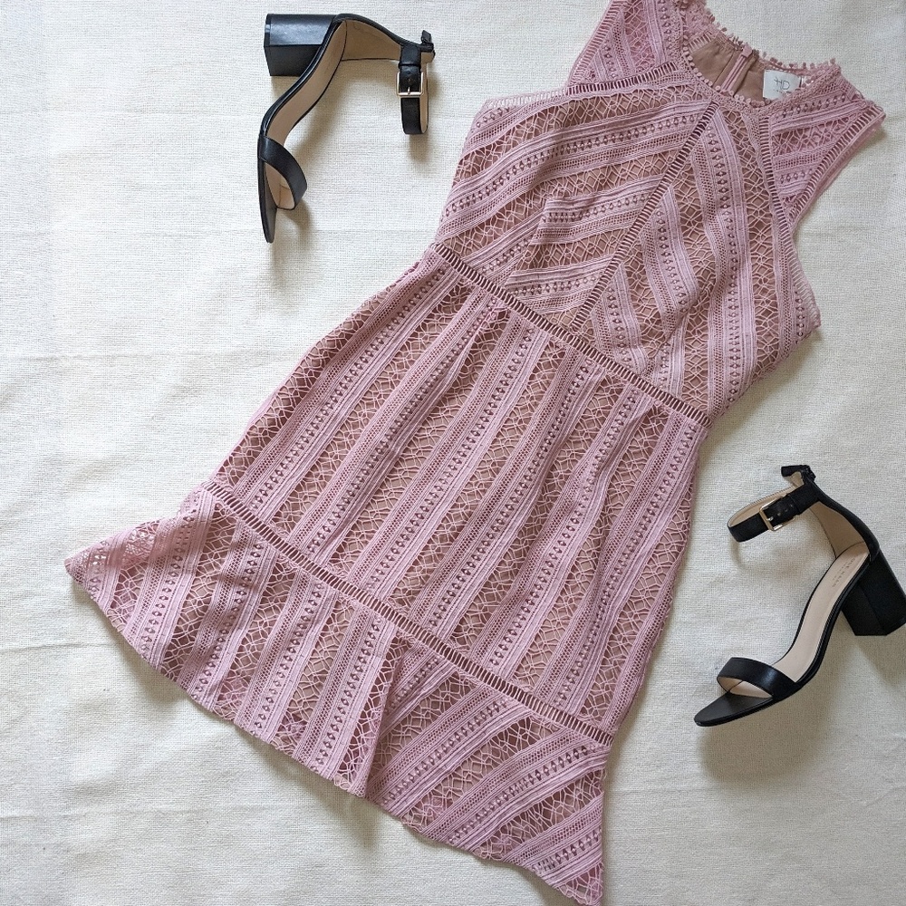 Anthropologie Pink Lace Fit-and-Flare Mini Dress